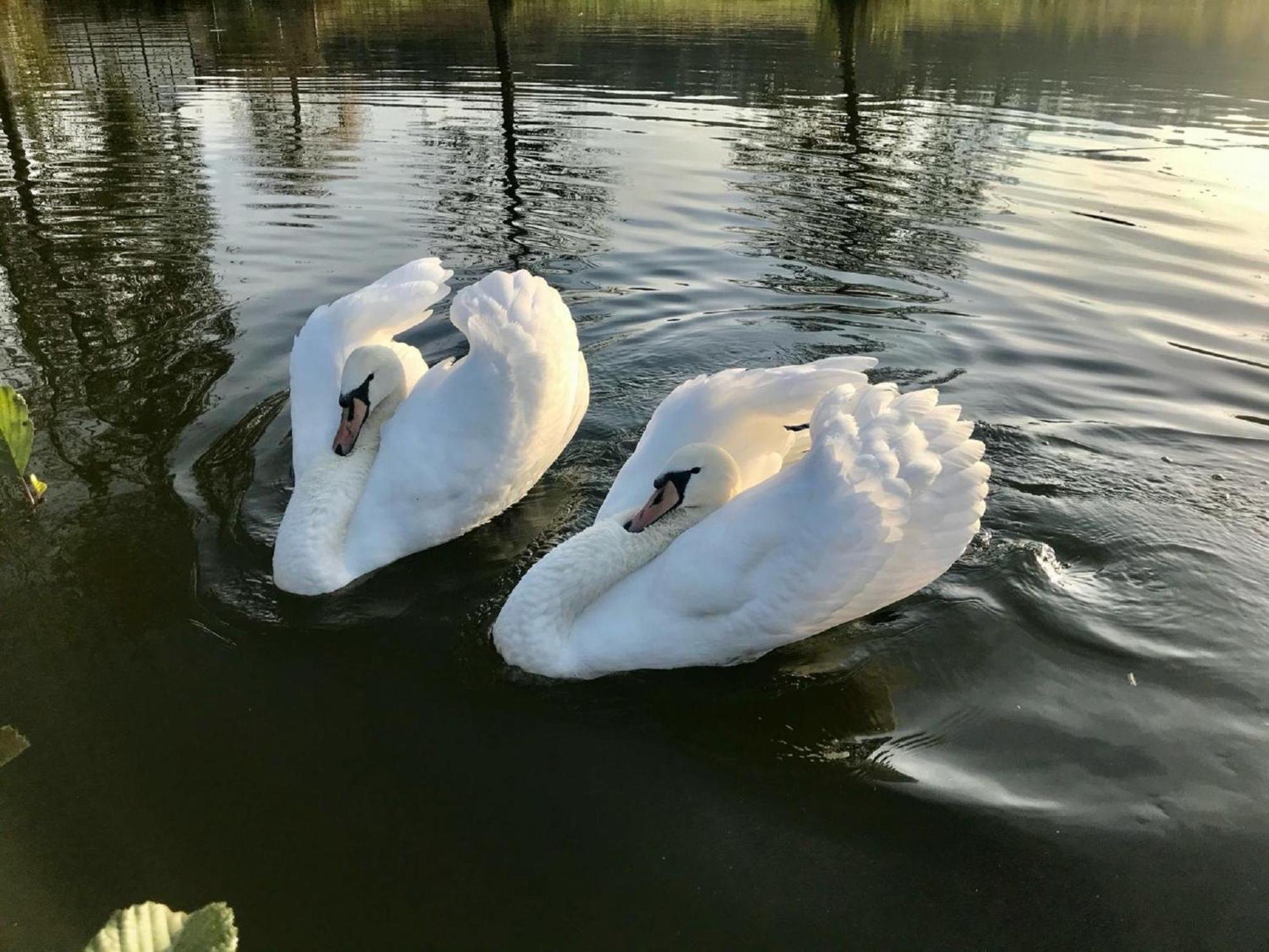 Ferienwohnungen Goja Bad Königshofen im Grabfeld Esterno foto