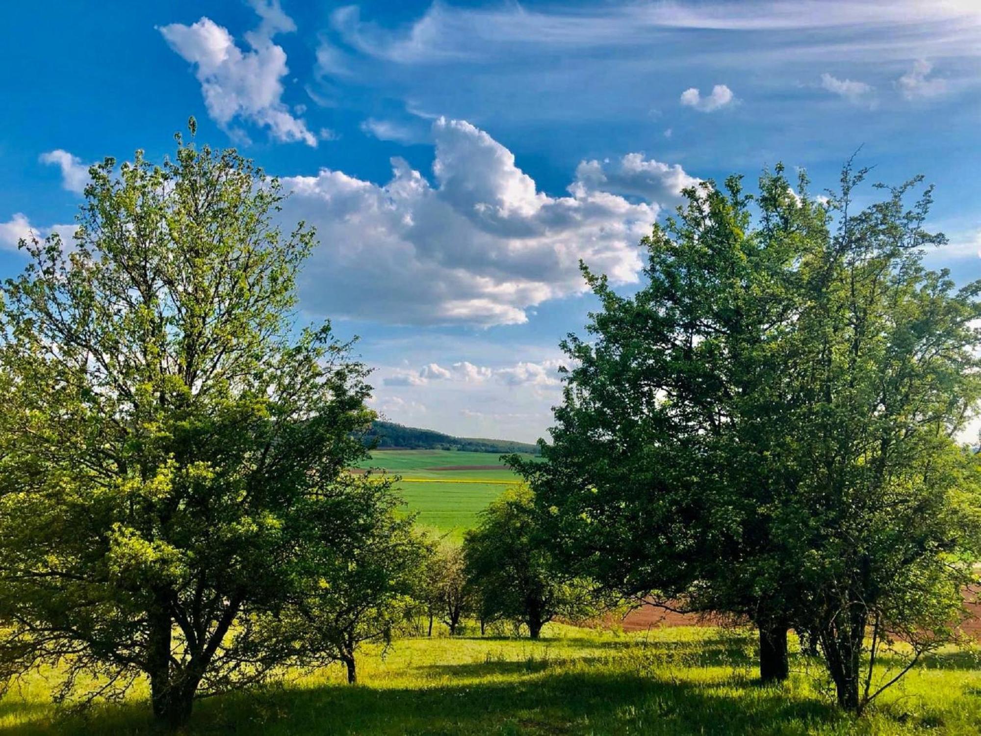 Ferienwohnungen Goja Bad Königshofen im Grabfeld Esterno foto